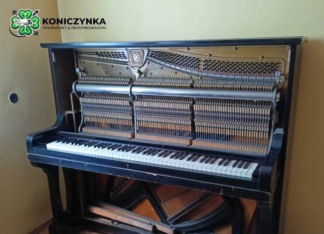 Śląsk i Zagłębie muzykuje czyli pianiana odc. 1000